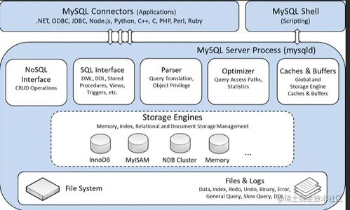 MySQL数据库 存储引擎与数据库管理详解